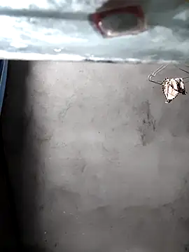 Snapshot of gigo-ulala chatting on 12-16-25, 01:38 gigo-ulala online show from 12-16-25, 01:38