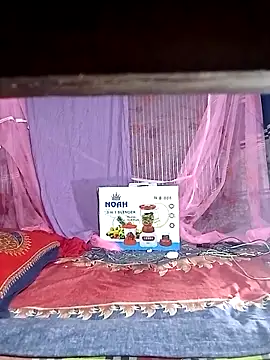 porimoi 505 online show from 04-07-26, 05:35