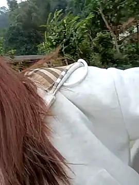 Chinchink2 online show from 12-15-25, 04:17