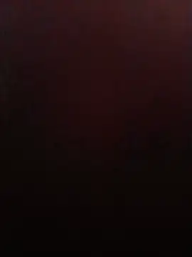 weilpasst online show from 07-01-26, 12:07