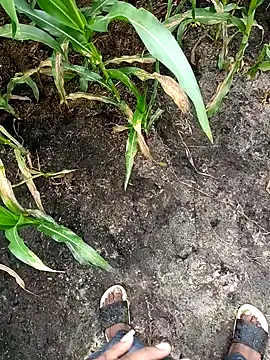 Snapshot of loki-king-143 chatting on 02-24-26, 03:59 loki-king-143 online show from 02-24-26, 03:59