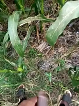 Snapshot of loki-king-143 chatting on 03-09-26, 09:46 loki-king-143 online show from 03-09-26, 09:46