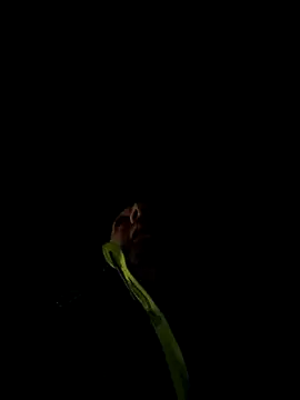 marcoboss online show from 12-13-25, 10:26