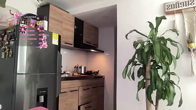 isa fox 23 online show from 02-09-26, 04:44