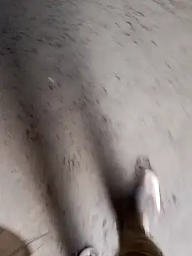 Snapshot of Nick_universal chatting on 02-28-26, 01:06 Nick universal online show from 02-28-26, 01:06