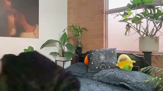 Andy Belier23 online show from 02-20-26, 11:54