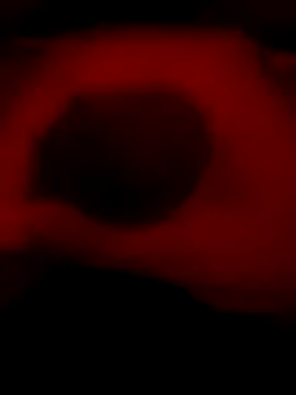 DaveeeIsTheone online show from 01-06-26, 12:14