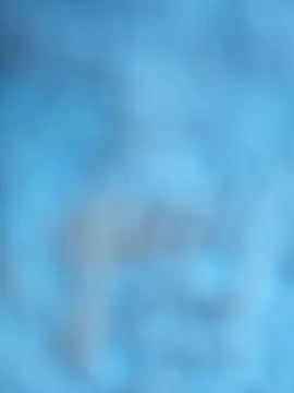 layanehot online show from 12-21-25, 06:26