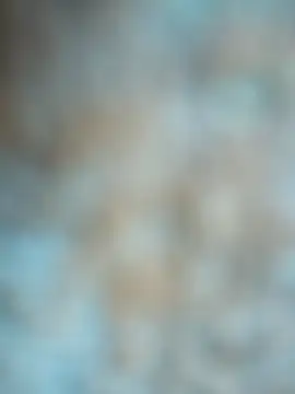 layanehot online show from 12-22-25, 09:06