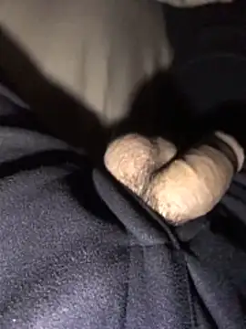 Snapshot of lion_kun chatting on 12-15-25, 09:13 lion kun online show from 12-15-25, 09:13