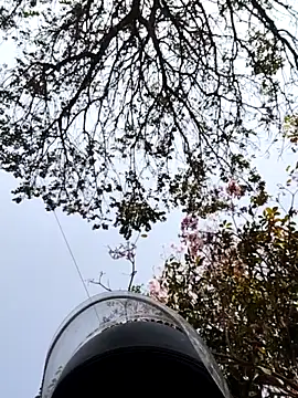 bnglrboy0886 online show from 03-07-26, 10:01