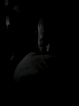 Snapshot of K9handler1 chatting on 12-16-25, 11:32 K9handler1 online show from 12-16-25, 11:32