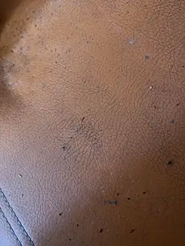 solecito sex  online show from 06-02-26, 04:42