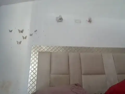 danylush online show from 02-14-26, 08:27