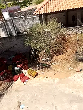  - - bucetuda     online show from 12-18-25, 03:40