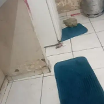 xxbucetudaxxx online show from 12-20-25, 11:17