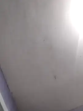 vanNe78 online show from 02-28-26, 08:10