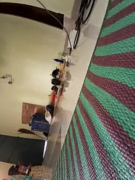 Ranuvabi online show from 04-28-26, 10:09