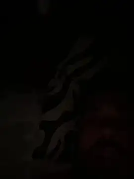 paco199923 online show from 02-04-26, 09:15