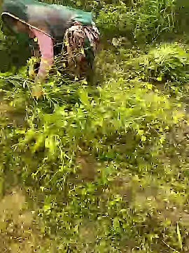 Snapshot of hornycouple20000 chatting on 01-08-26, 05:43 hornycouple20000 online show from 01-08-26, 05:43