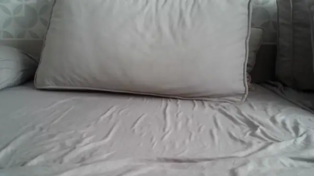 Snapshot of apollo81 chatting on 02-18-26, 09:49 apollo81 online show from 02-18-26, 09:49