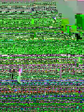 lzinho9153 online show from 04-16-26, 04:19