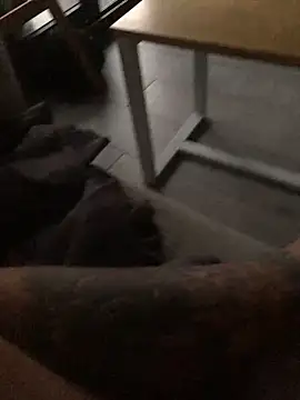 psilocibina22 online show from 02-20-26, 09:21