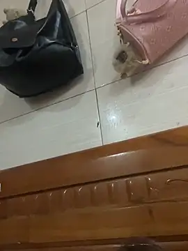 Liness101 online show from 02-04-26, 12:05