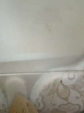 Pagelboy 089 online show from 02-19-26, 08:43