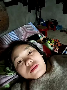 Snapshot of vanvan005 chatting on 02-03-26, 11:21 vanvan005 online show from 02-03-26, 11:21