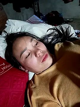 Snapshot of vanvan005 chatting on 02-12-26, 12:16 vanvan005 online show from 02-12-26, 12:16