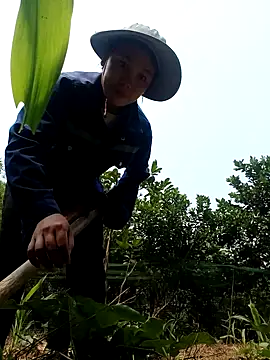 Snapshot of vanvan005 chatting on 04-08-26, 03:17 vanvan005 online show from 04-08-26, 03:17