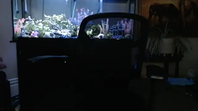 EspanolVato online show from 03-05-26, 11:45