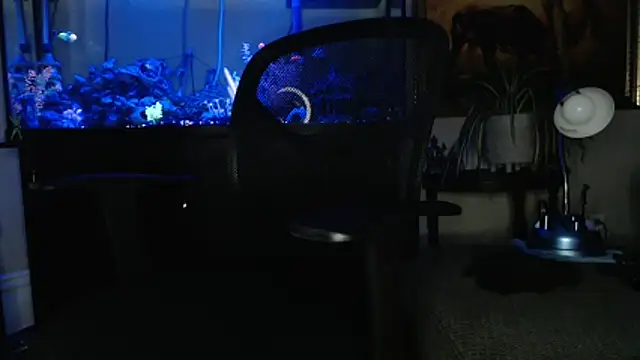 EspanolVato online show from 03-18-26, 09:12