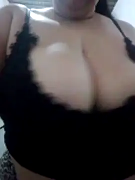 safadinha24h online show from 01-15-26, 01:10