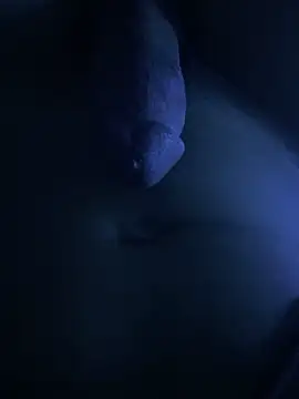 fofi77 online show from 04-17-26, 09:29