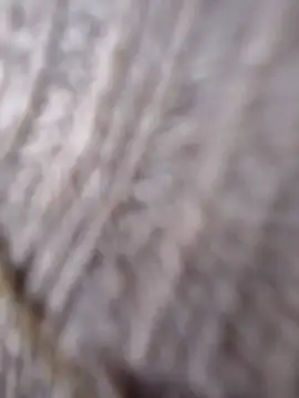 Cataleya 16 online show from 03-15-26, 07:09