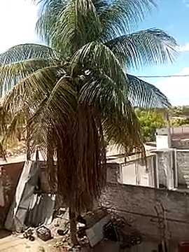 Snapshot of ____gozada---- chatting on 01-09-26, 03:59 gozada---- online show from 01-09-26, 03:59