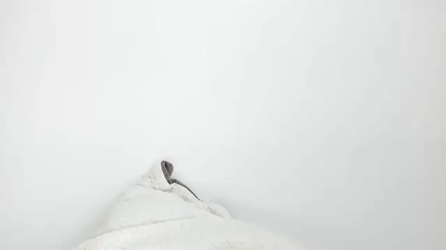 Sarah sumemers online show from 03-04-26, 08:15