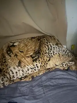 magneto01 online show from 04-05-26, 02:09