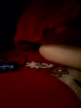 -Bunny-y online show from 01-11-26, 05:29