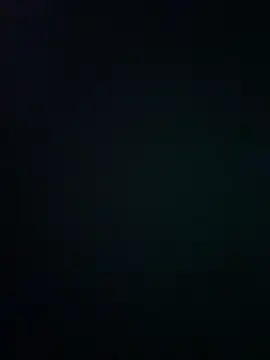 wy2026 online show from 03-12-26, 07:31