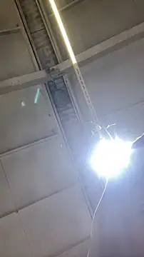 Dildogang online show from 02-11-26, 02:49