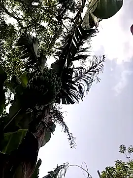 leona118 online show from 04-11-26, 07:45