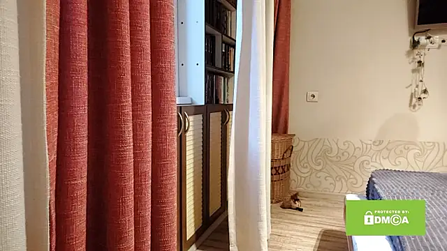 sewsewsewe online show from 02-11-26, 10:04