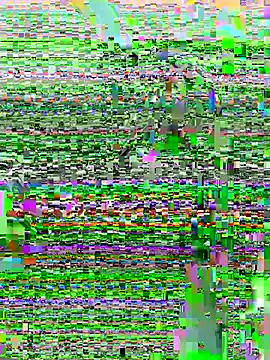 DouDou-- online show from 06-23-26, 02:37