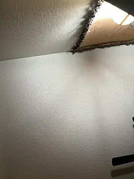 JoeyBlazy online show from 01-12-26, 01:00