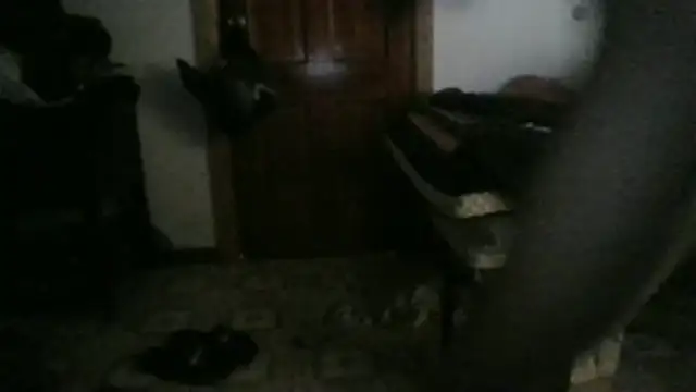 XxDa-Booty-BandiTxX online show from 01-17-26, 12:59