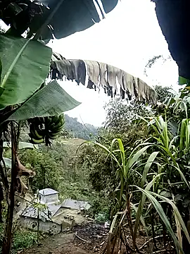 kaia-cam online show from 02-20-26, 06:37