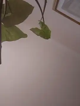 NickoHetero online show from 01-13-26, 02:11